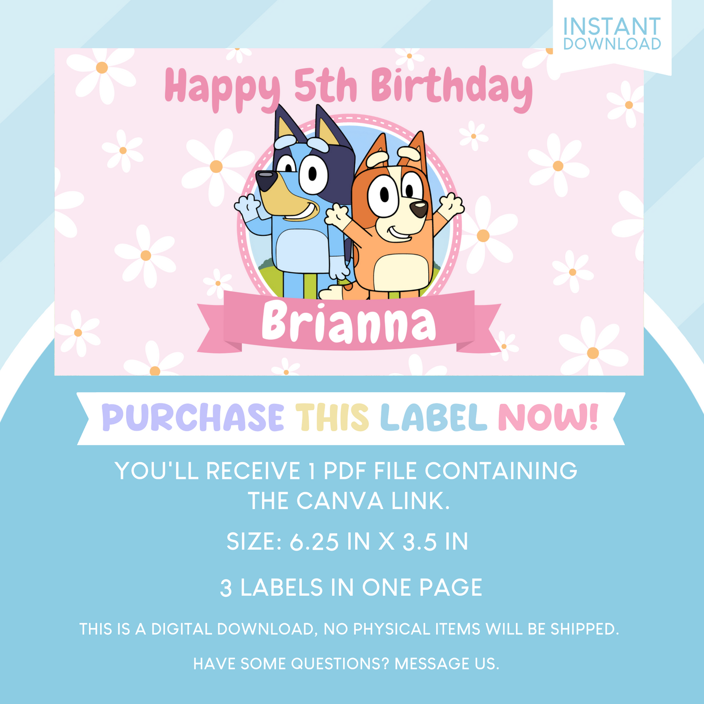 Bluey Birthday Party Gable Box