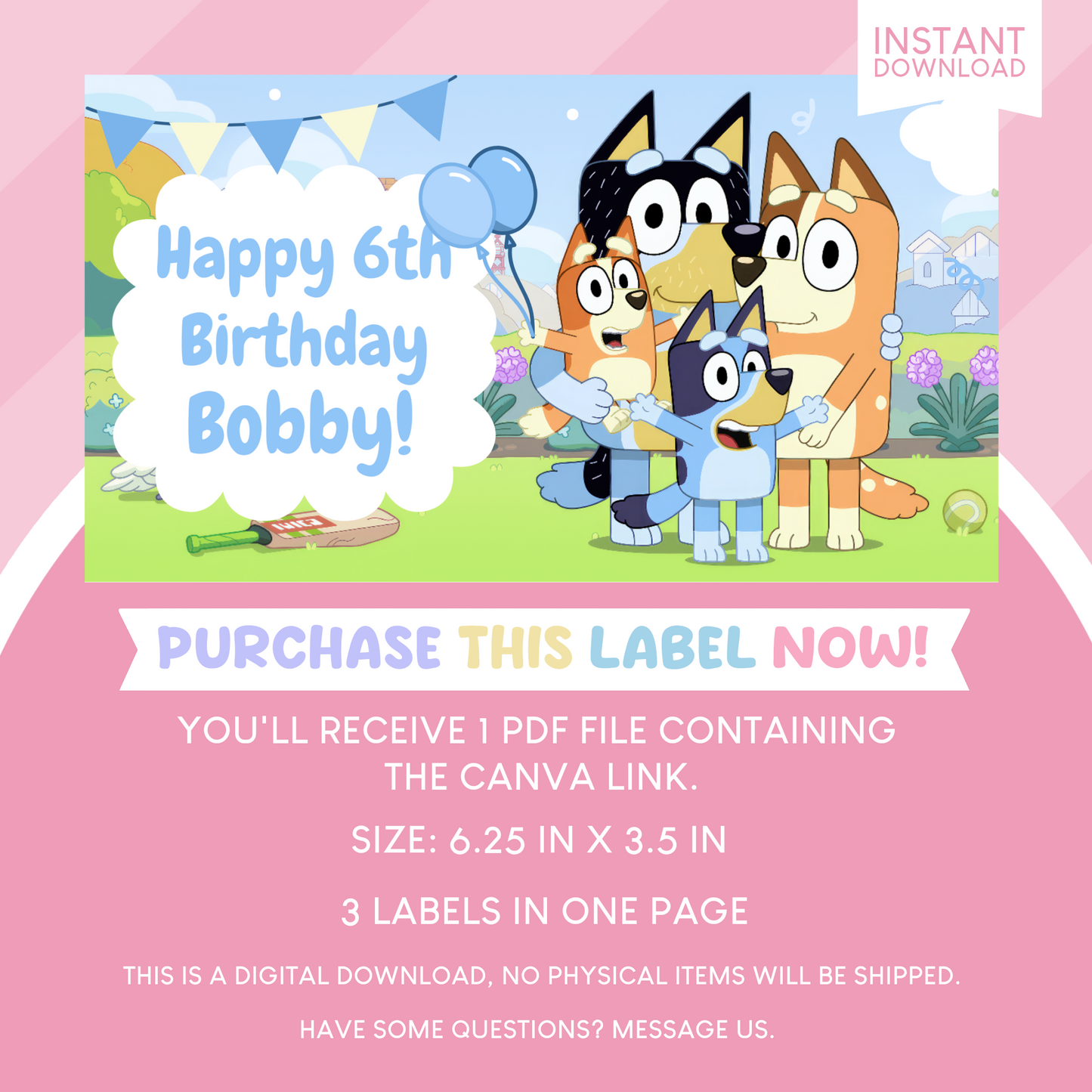 Bluey Birthday Party Gable Box