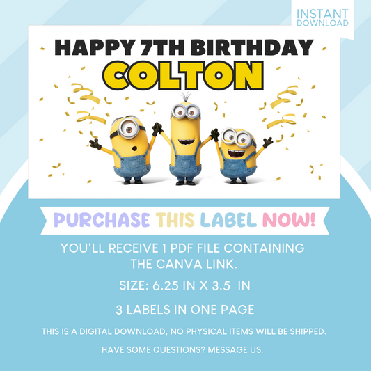 Minions Birthday Party Gable Box