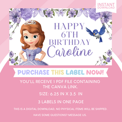 Sofia the First Birthday Party Gable Box