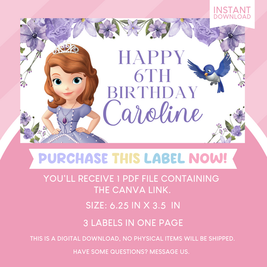 Sofia the First Birthday Party Gable Box