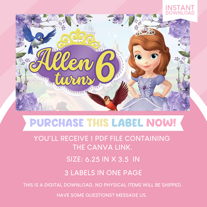 Sofia the First Birthday Party Gable Box