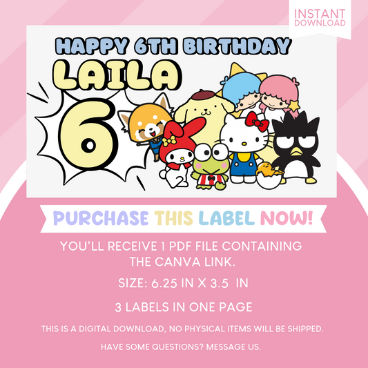 Sanrio Birthday Party Gable Box