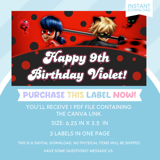 Miraculous Ladybug Birthday Party Gable Box