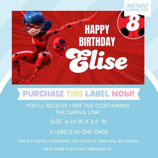 Miraculous Ladybug Birthday Party Gable Box