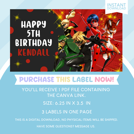 Miraculous Ladybug Birthday Party Gable Box