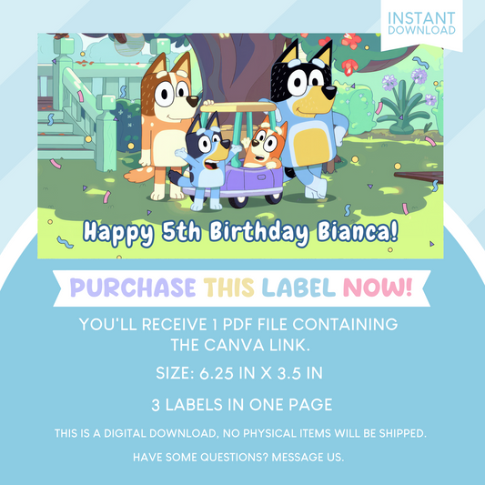 Bluey Birthday Party Gable Box