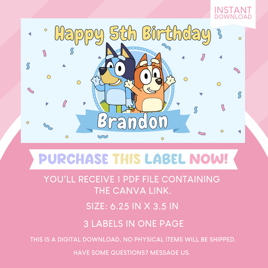 Bluey Birthday Party Gable Box