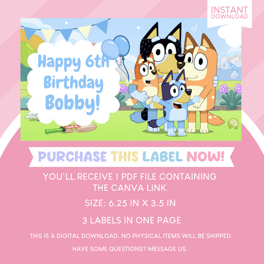 Bluey Birthday Party Gable Box