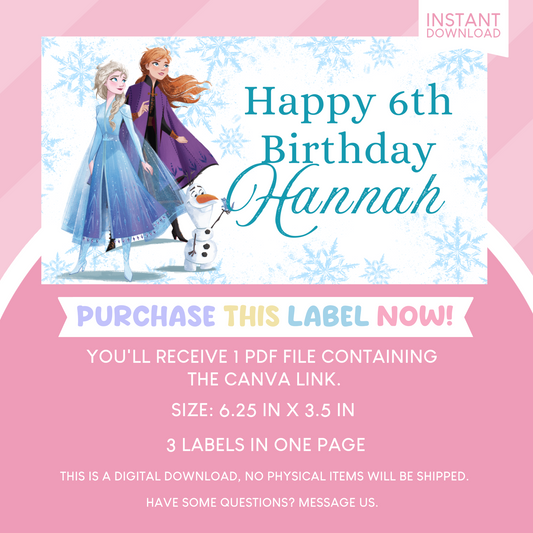 Frozen Birthday Party Gable Box