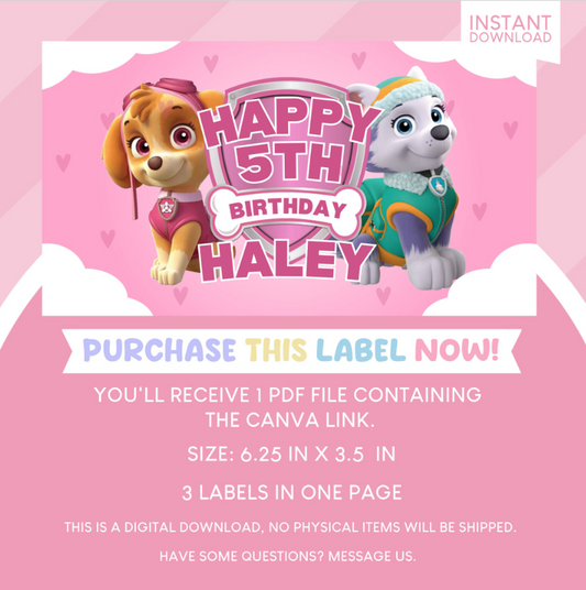 Paw Patrol Birthday Party Gable Box